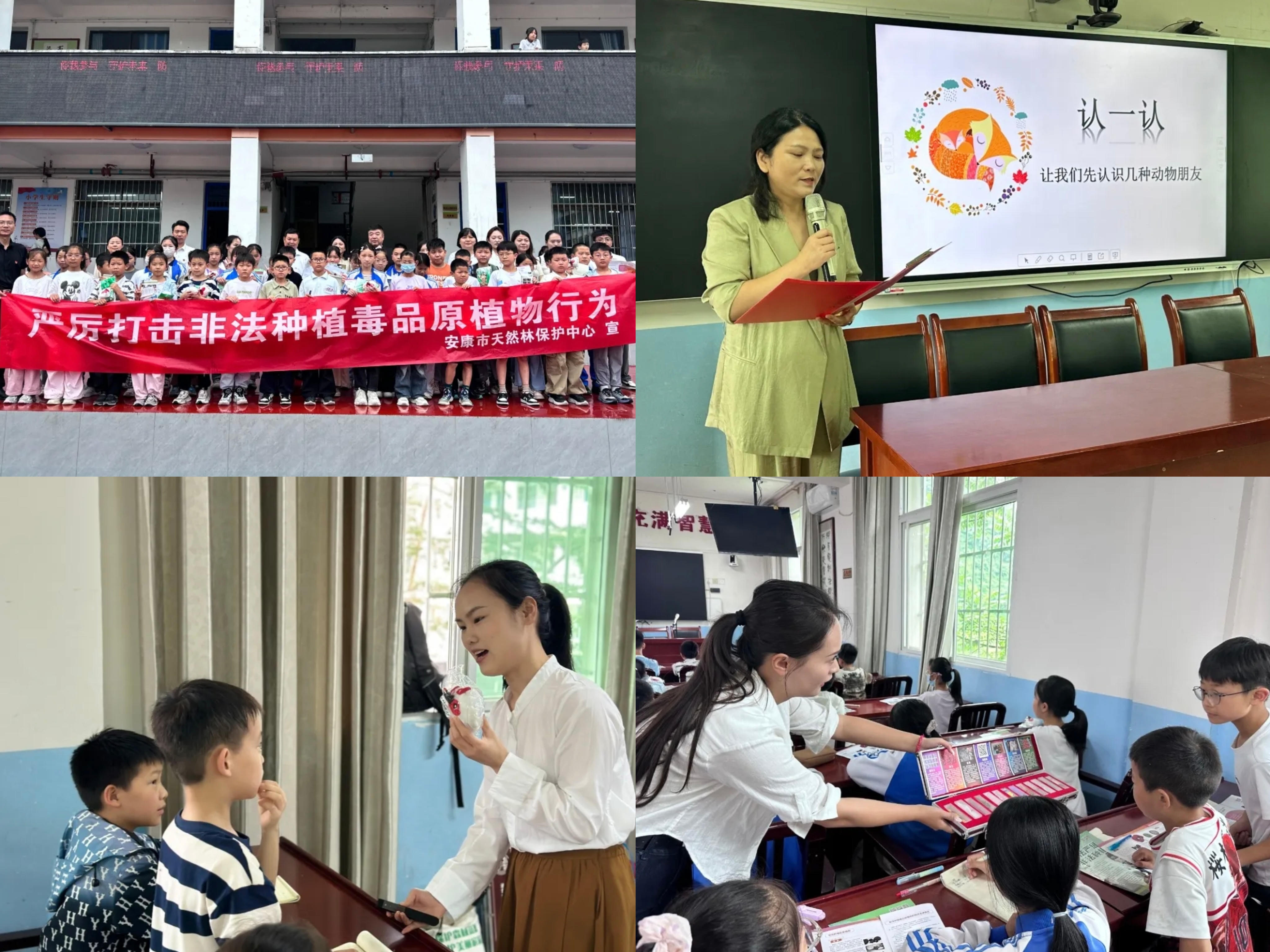 推荐赌博十大app